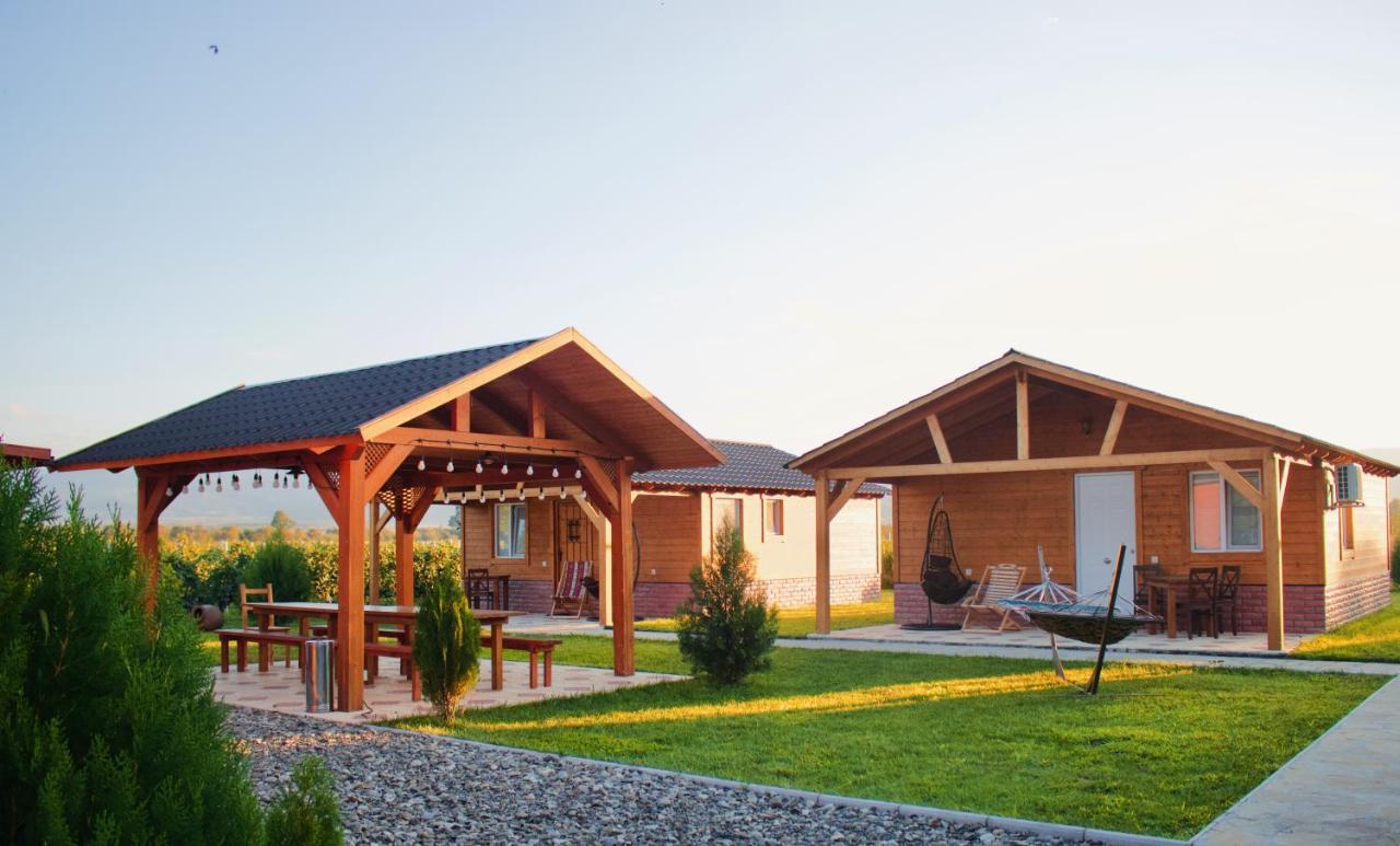 Finca Idoize Camping Hotel Akhmeta Luaran gambar