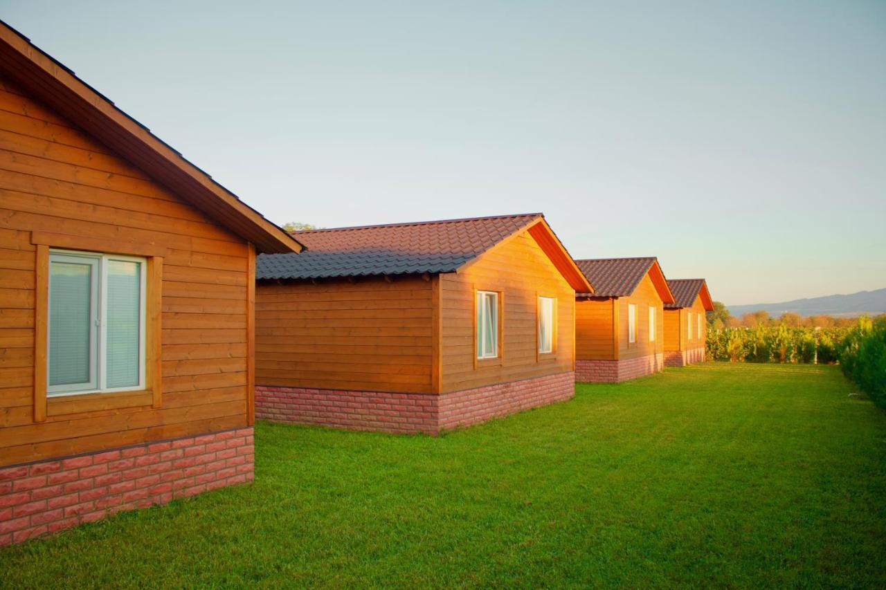 Finca Idoize Camping Hotel Akhmeta Luaran gambar