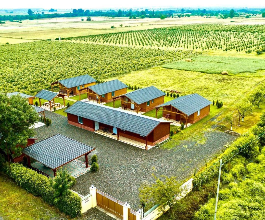Finca Idoize Camping Hotel Akhmeta Luaran gambar